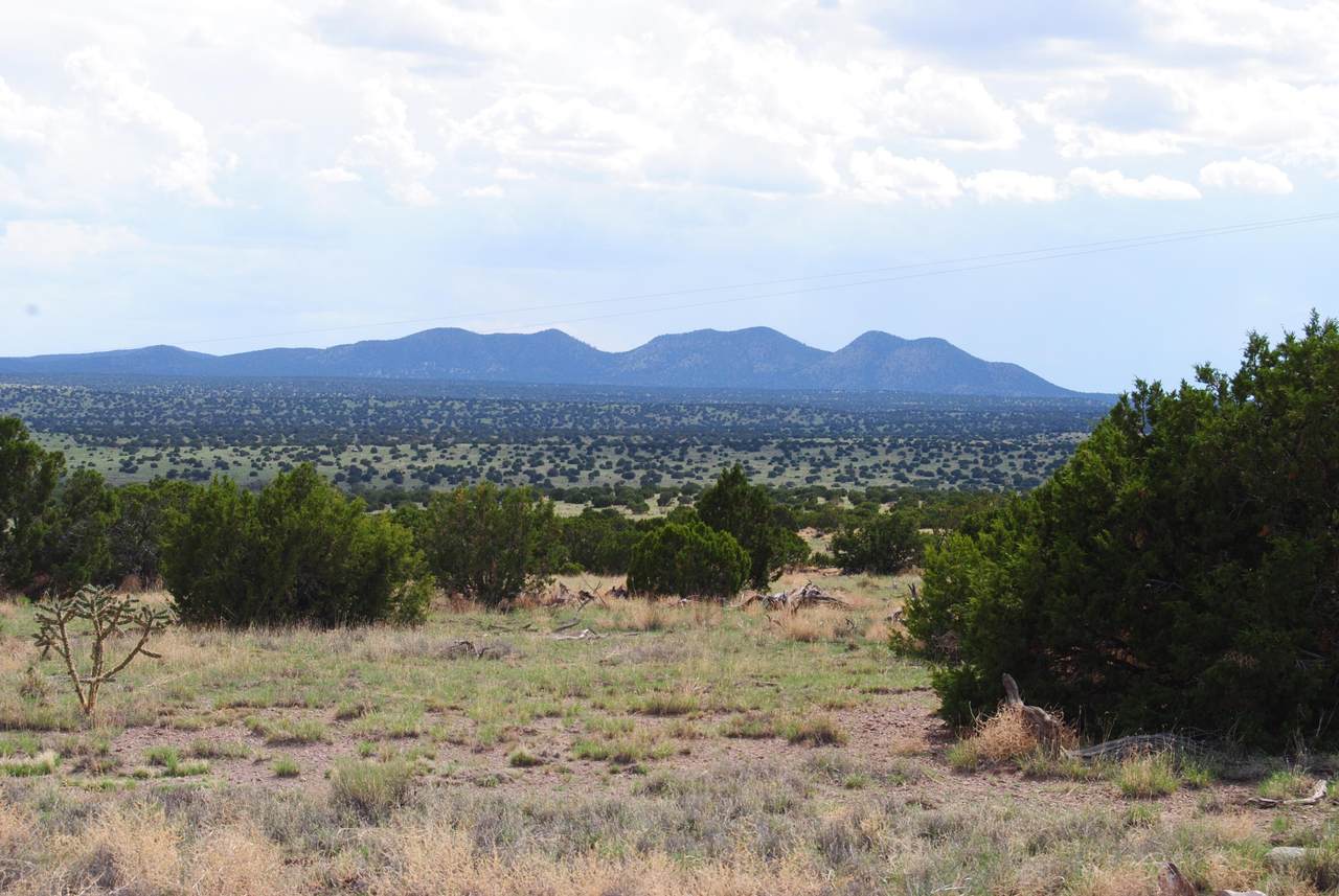 45 Pinon Springs Road - Photo 1