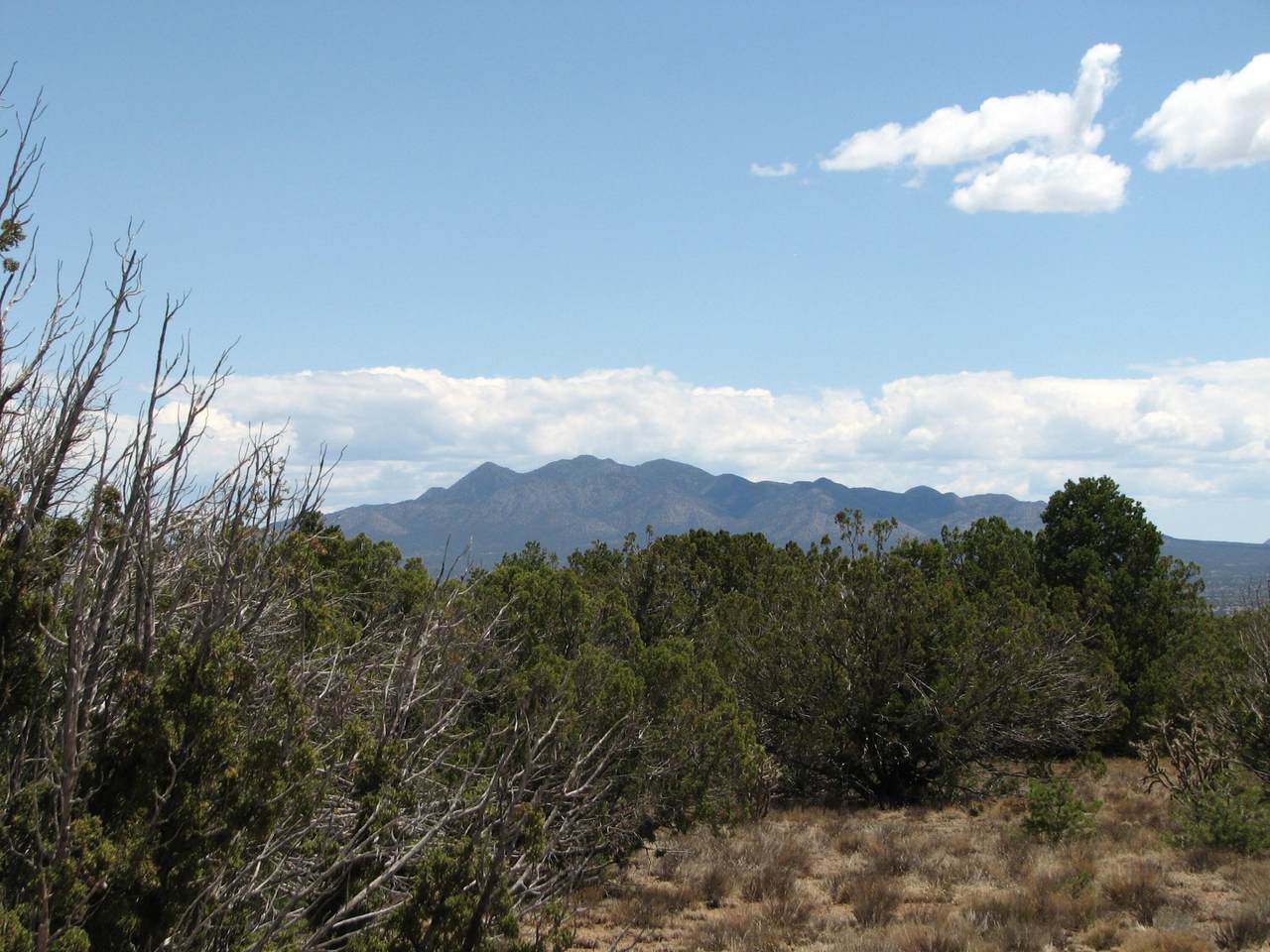 La Madera Road - Photo 1