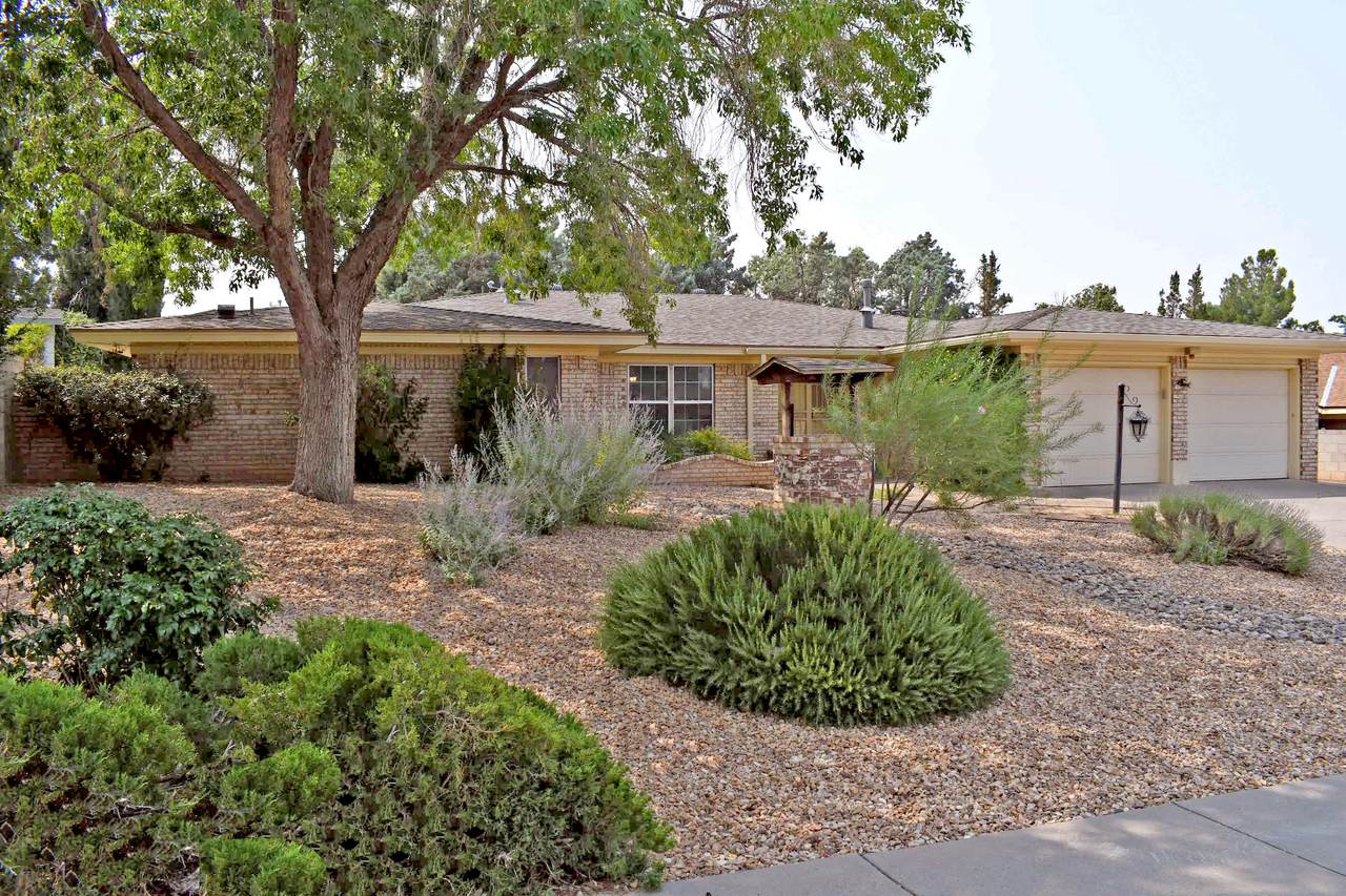 12408 Chelwood Court - Photo 1