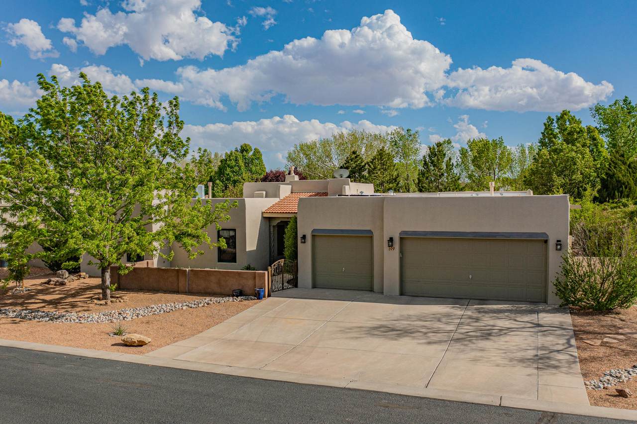 509 Cilantro Lane - Photo 1