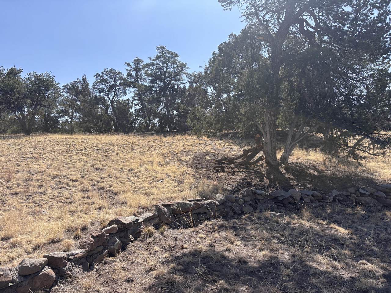233 Turquoise Trail - Photo 1