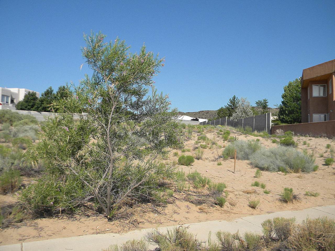 6803 Tamarisk Place - Photo 1