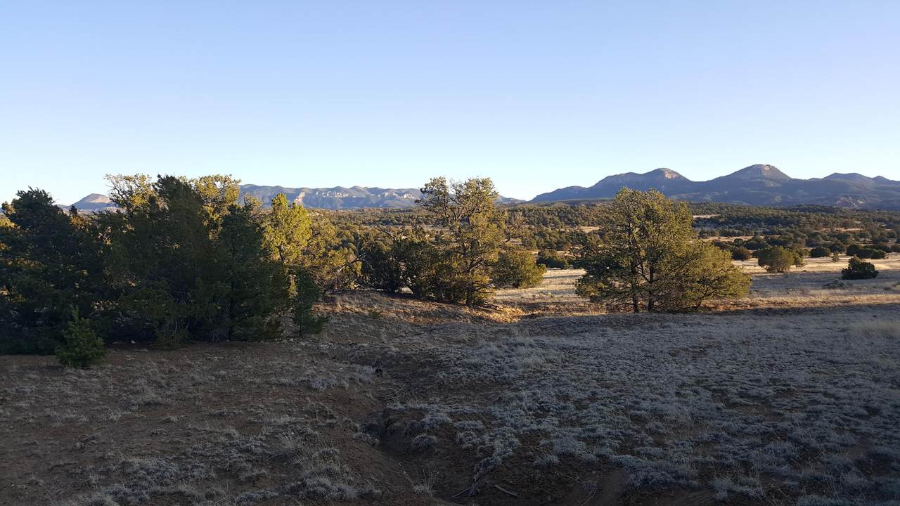 Section 8 Township 2 Range10 - Photo 1