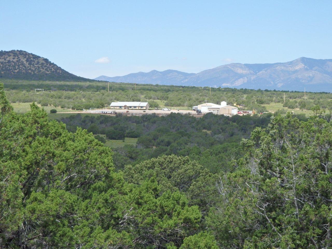 Mesa Draw Ranch - Photo 1