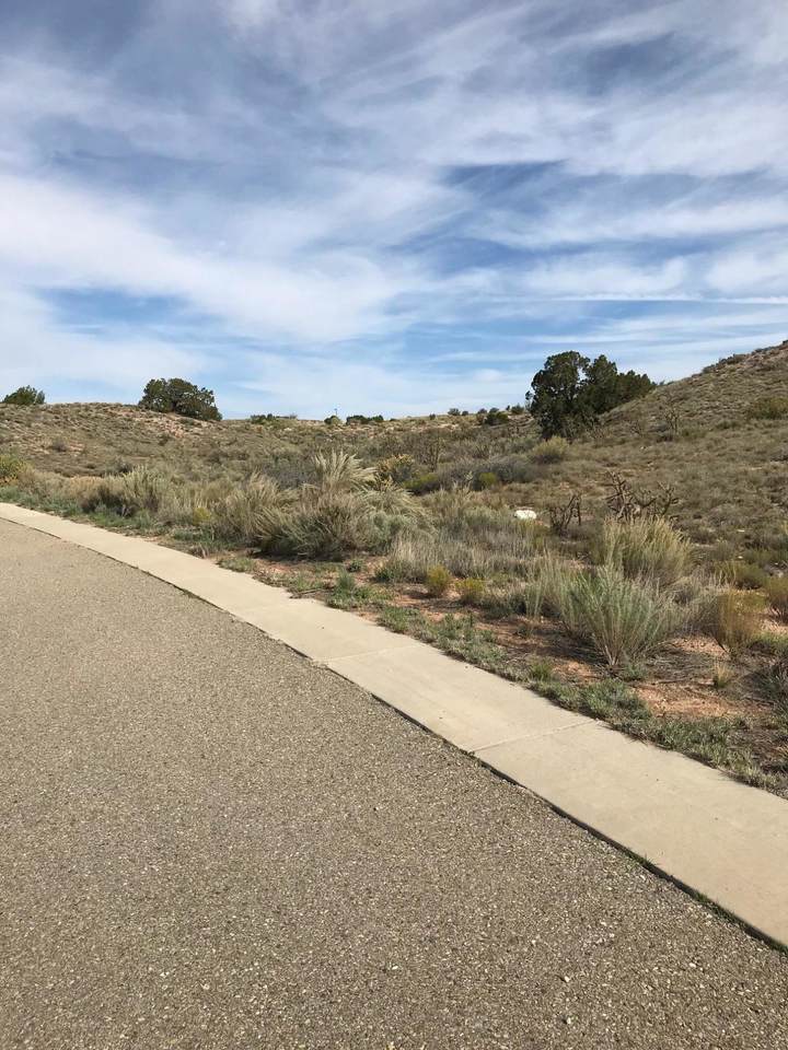 Rooster Point Road - Photo 1
