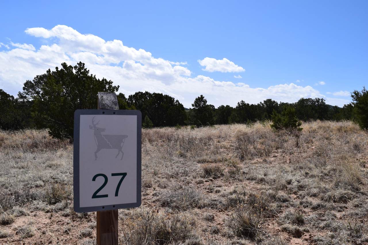 Lot 27 Nature Pointe Drive - Photo 1