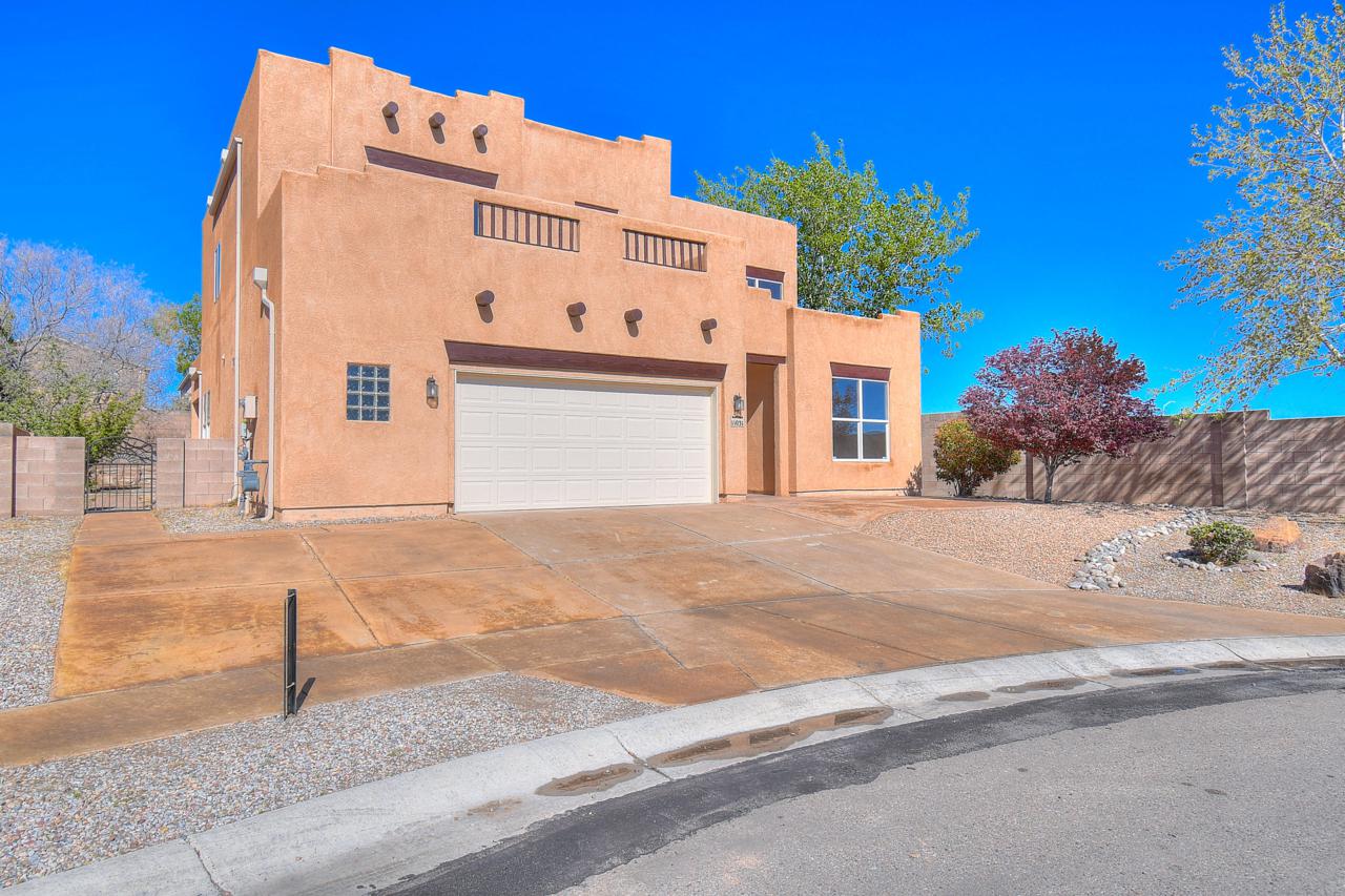 11031 Manganite Court - Photo 1