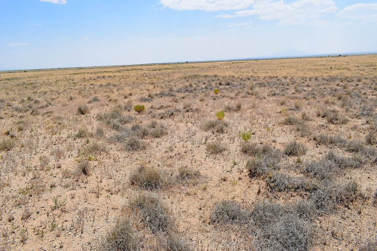 Lot 24 Rio Del Oro - Photo 1