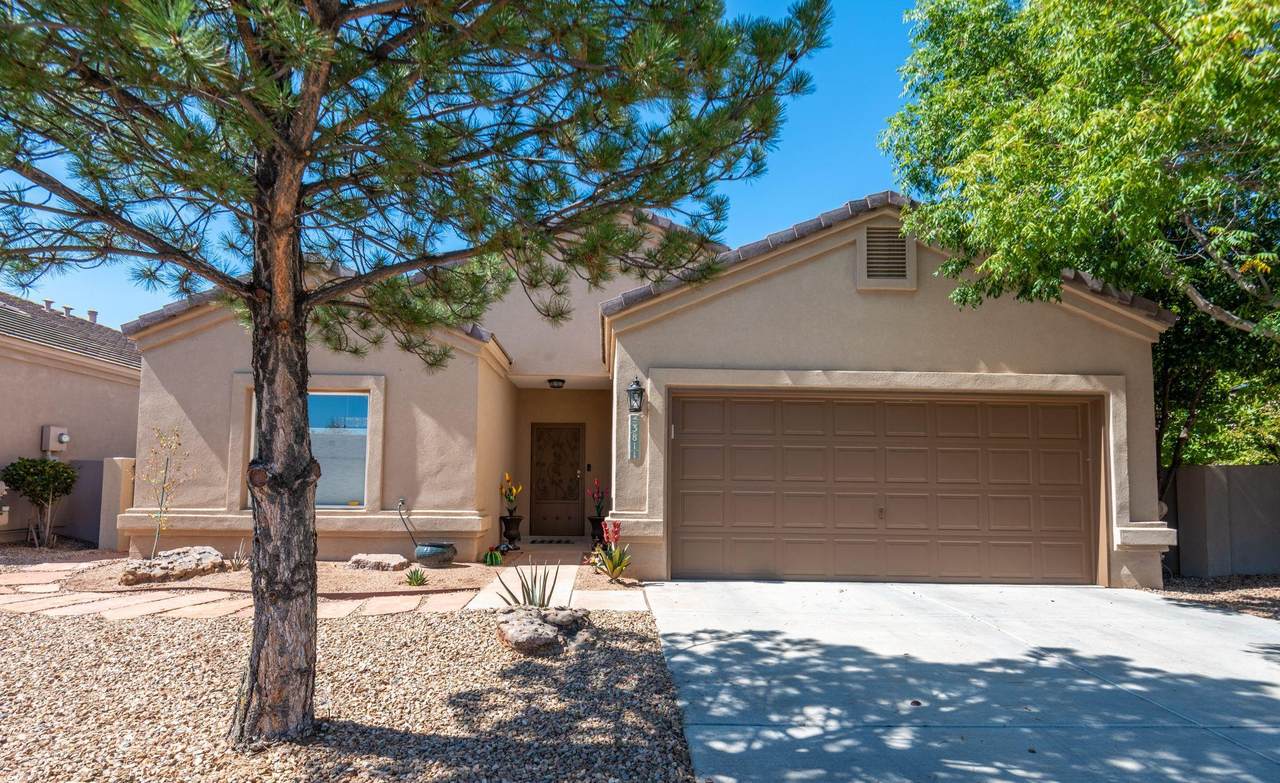 3811 Tundra Swan Court - Photo 1