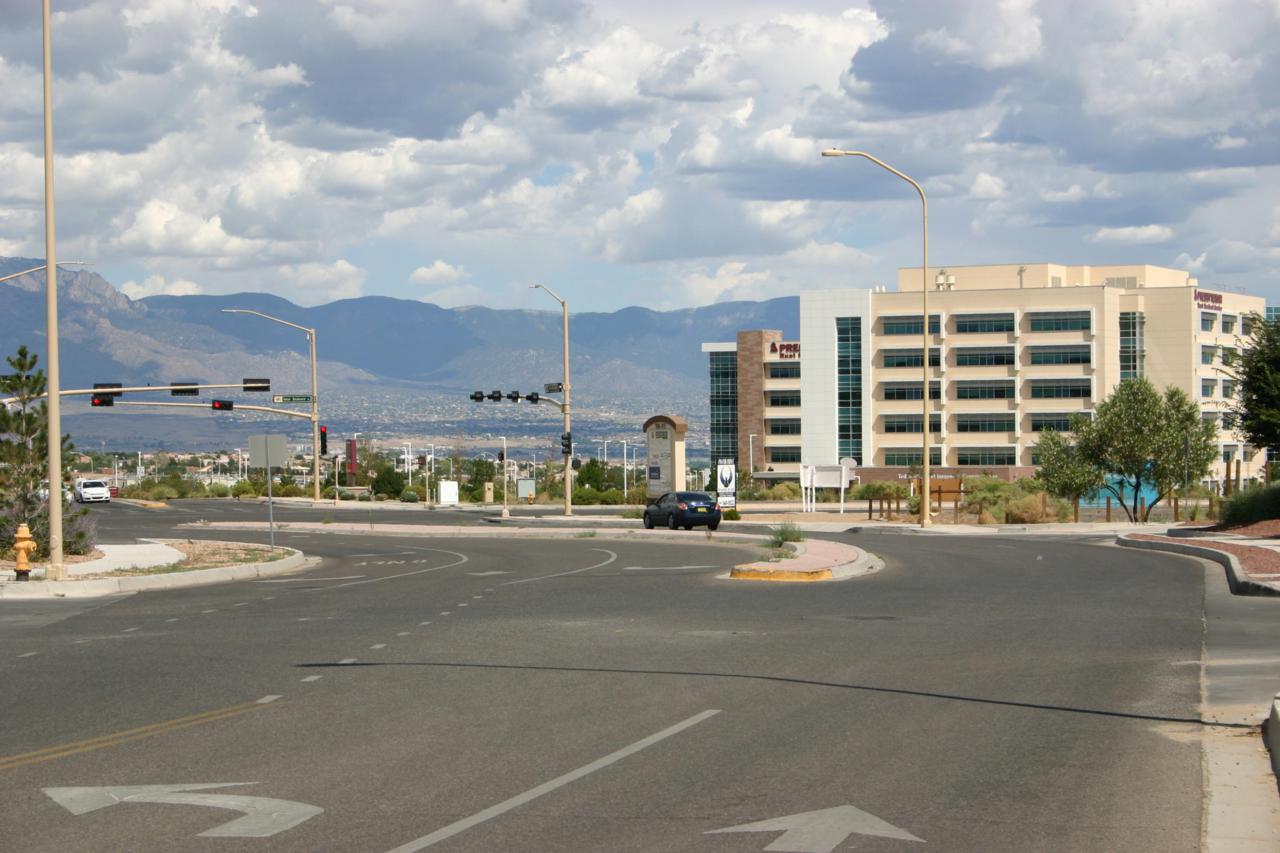 Wellspring Avenue - Photo 1