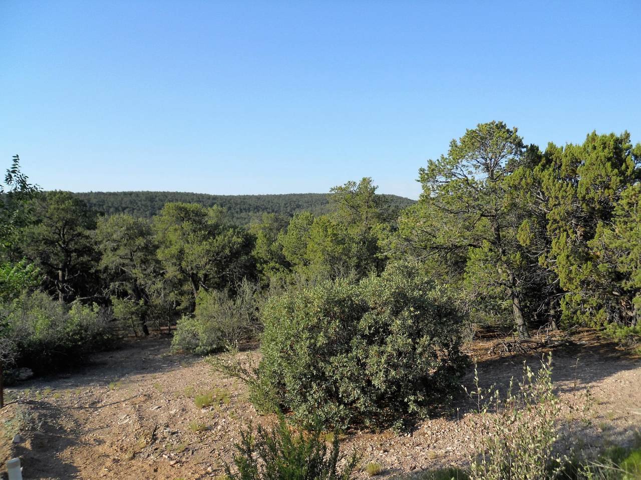 11 Rancho Verde Road - Photo 1