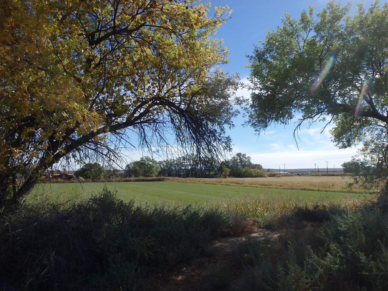 San Antonio Farm - Photo 1