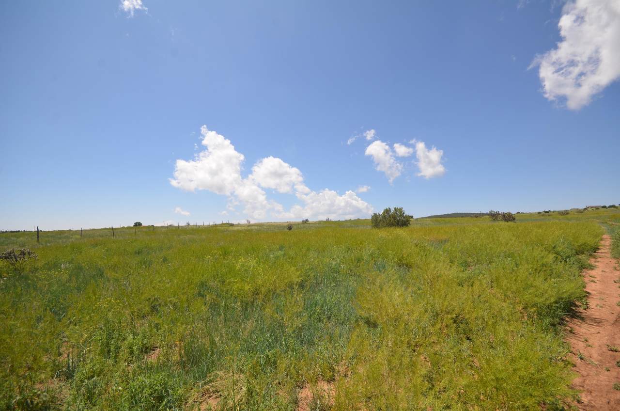 5 Camino Del Prado Loop - Photo 1