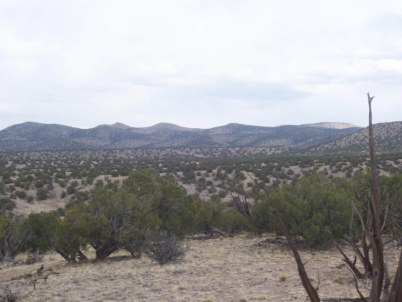 51 Camino Del Sueno - Photo 1