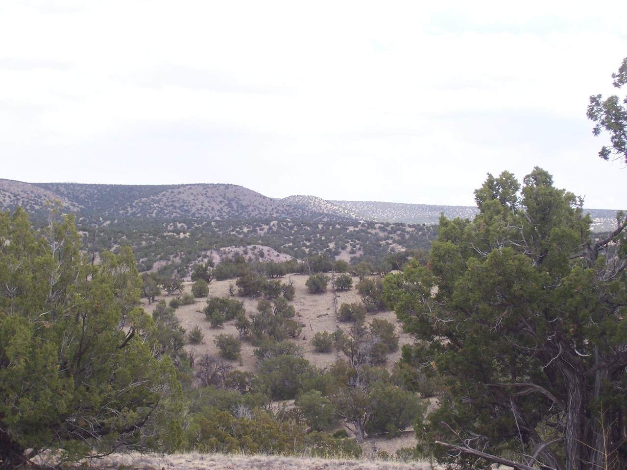 52 Camino Del Sueno - Photo 1