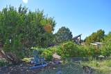 202 Ridge View Road - Photo 60