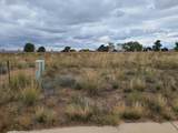 0 Tres Cantos Avenue - Photo 23