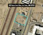 503 Emilio Lopez Road - Photo 14