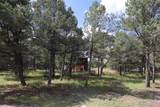 112 Ten Pines Road - Photo 33