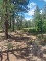 16 Secret Pines Court - Photo 1