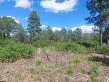 16 Secret Pines Court - Photo 3