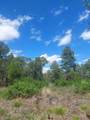 16 Secret Pines Court - Photo 4
