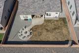 8816 Mancos Street - Photo 49
