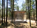 160 Black Bear Road - Photo 79