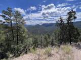 1691 Ponderosa Drive - Photo 54