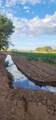 26 Schmittle Road - Photo 112