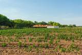 26 Schmittle Road - Photo 116