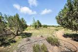 19 Tierra Del Sol Road - Photo 37