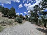 1691 Ponderosa Drive - Photo 42