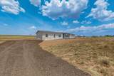 91 Cattle Loop - Photo 11