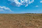 91 Cattle Loop - Photo 53