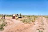 3301 Cuchilla Drive - Photo 4
