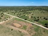 5606 New Mexico Highway 55 - Photo 42