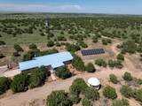 5606 New Mexico Highway 55 - Photo 5