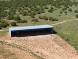 5606 New Mexico Highway 55 - Photo 52