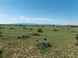 5606 New Mexico Highway 55 - Photo 56