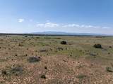 5606 New Mexico Highway 55 - Photo 62
