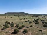 5606 New Mexico Highway 55 - Photo 67
