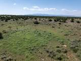 5606 New Mexico Highway 55 - Photo 68