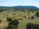 5606 New Mexico Highway 55 - Photo 73