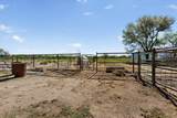 71 Olguin Road - Photo 62