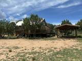 169 La Para Road - Photo 75