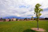 6800 Vista Del Norte Road - Photo 22