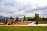 6800 Vista Del Norte Road - Photo 23