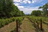 3821 Corrales Road - Photo 68