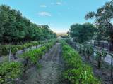 3819-3821 Corrales Road - Photo 83